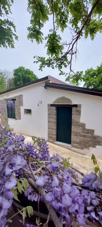 بيستيشي Agriturismo Terranova المظهر الخارجي الصورة