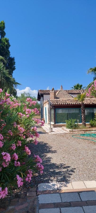 بيستيشي Agriturismo Terranova المظهر الخارجي الصورة