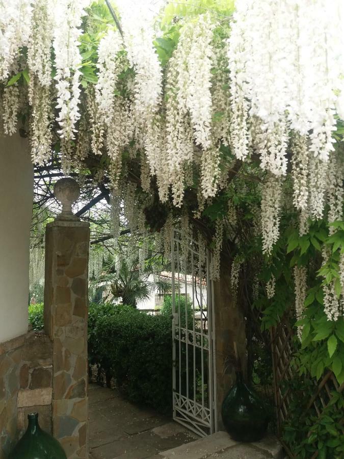 بيستيشي Agriturismo Terranova المظهر الخارجي الصورة